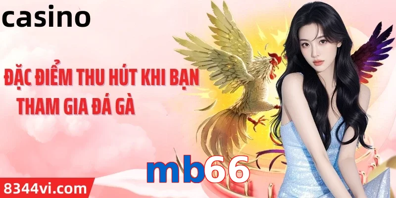 mb66
